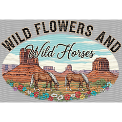 Country music-CU 1379